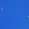 Flugtag Musbach