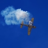 Flugtag Musbach