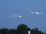 Flugtag Fliegergruppe Freudenstadt e.V. 21.07.2013