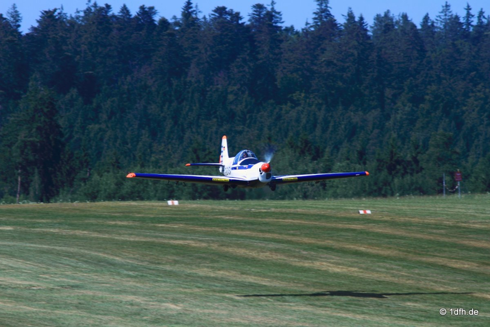 Flugtag Musbach