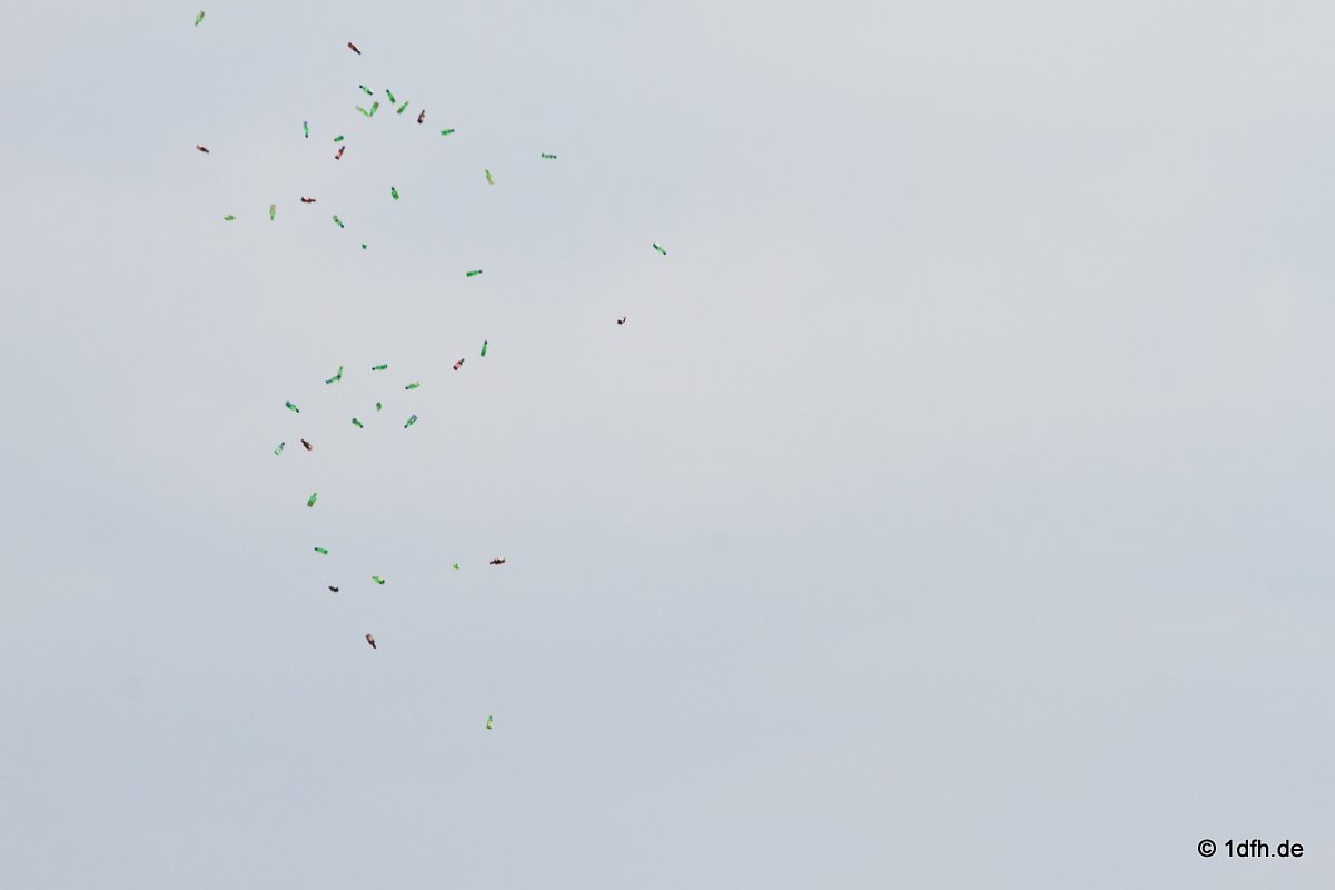 Flugtag  MFG Graben-Neudorf 24.05.2015