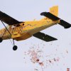 Flugtag  MFG Graben-Neudorf 24.05.2015