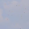 Flugtag  MFG Graben-Neudorf 24.05.2015