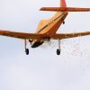 Flugtag  MFG Graben-Neudorf 24.05.2015