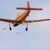 Flugtag  MFG Graben-Neudorf 24.05.2015