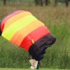 Flugtag  MFG Graben-Neudorf 24.05.2015