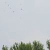 Flugtag  MFG Graben-Neudorf 24.05.2015