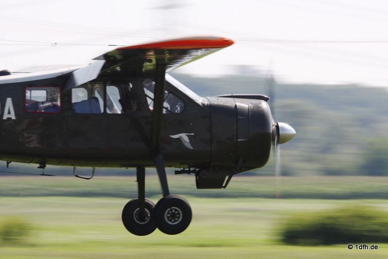 1dfh-walldorf-21082010-004