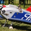 1dfh-walldorf-21082010-021