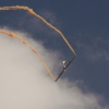 1dfh-walldorf-21082010-038