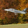 Freundschaftsfliegen Hülben