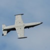 Freundschaftsfliegen Hülben