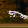 Freundschaftsfliegen Hülben