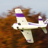 Freundschaftsfliegen Hülben