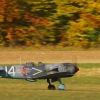 Freundschaftsfliegen Hülben
