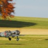 Freundschaftsfliegen Hülben