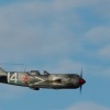 Freundschaftsfliegen Hülben