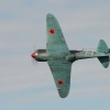 Freundschaftsfliegen Hülben
