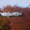Freundschaftsfliegen Hülben