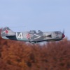 Freundschaftsfliegen Hülben