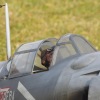 Freundschaftsfliegen Hülben