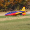 Freundschaftsfliegen Hülben