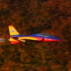 Freundschaftsfliegen Hülben