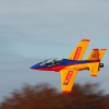Freundschaftsfliegen Hülben