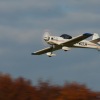 Freundschaftsfliegen Hülben