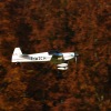 Freundschaftsfliegen Hülben