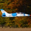 Freundschaftsfliegen Hülben