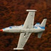 Freundschaftsfliegen Hülben