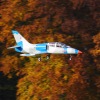 Freundschaftsfliegen Hülben