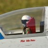 Freundschaftsfliegen Hülben