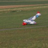Freundschaftsfliegen Hülben