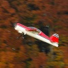 Freundschaftsfliegen Hülben