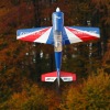Freundschaftsfliegen Hülben