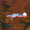 Freundschaftsfliegen Hülben