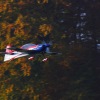 Freundschaftsfliegen Hülben