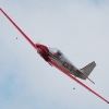 Freundschaftsfliegen Hülben