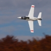 Freundschaftsfliegen Hülben