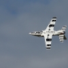 Freundschaftsfliegen Hülben