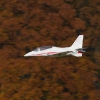 Freundschaftsfliegen Hülben