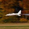Freundschaftsfliegen Hülben