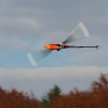 Freundschaftsfliegen Hülben