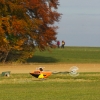 Freundschaftsfliegen Hülben