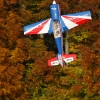 Freundschaftsfliegen Hülben