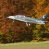 Freundschaftsfliegen Hülben