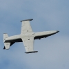 Freundschaftsfliegen Hülben