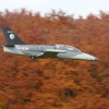 Freundschaftsfliegen Hülben